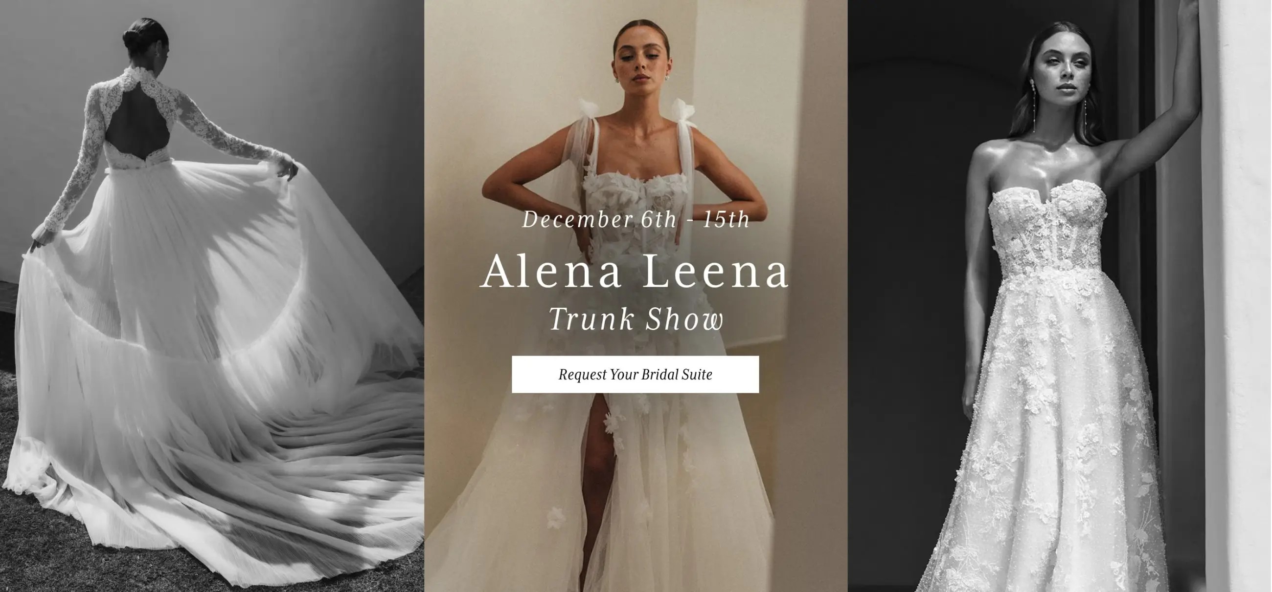 Desktop Alena Leena Trunk Show Banner