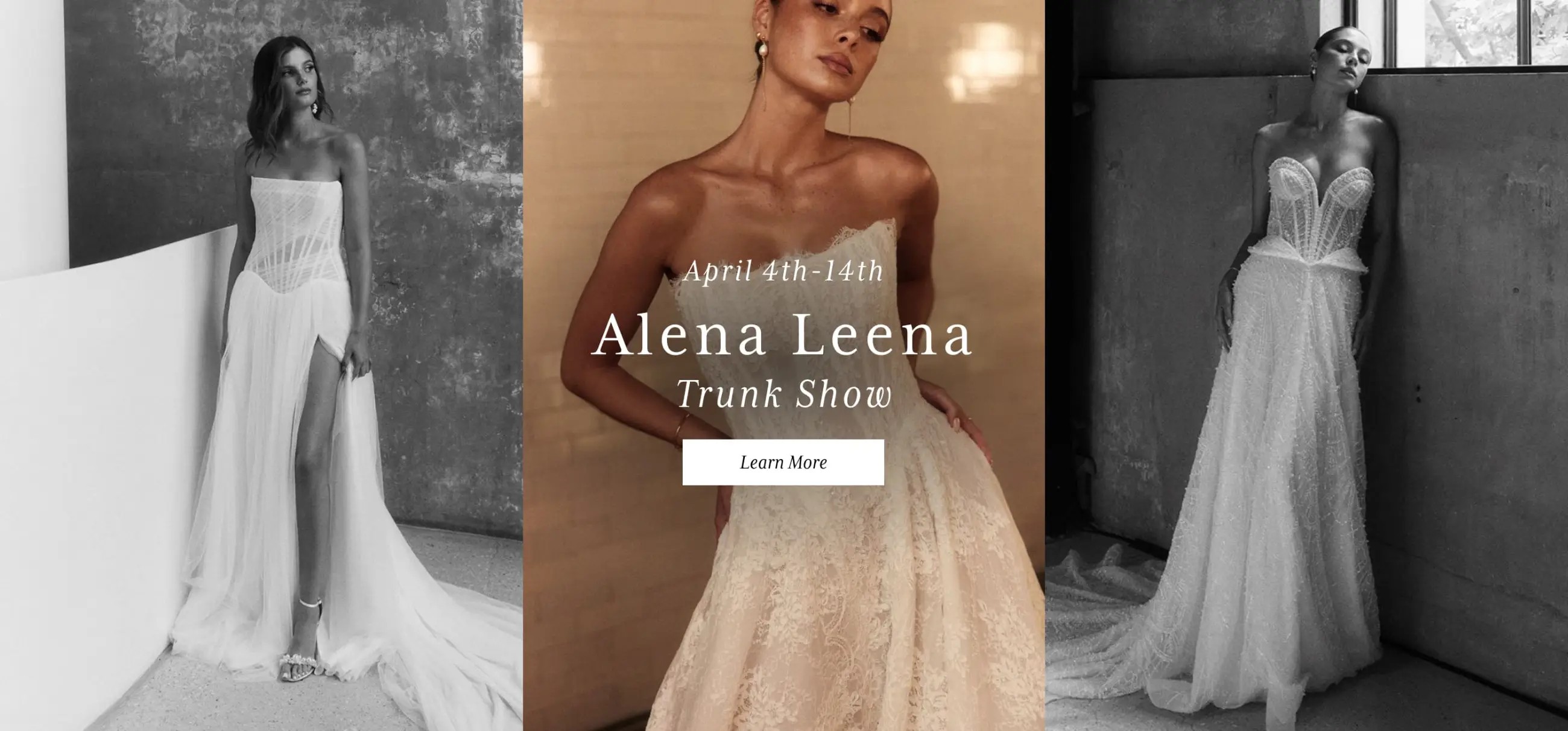 Alena Leena Trunk Show Desktop